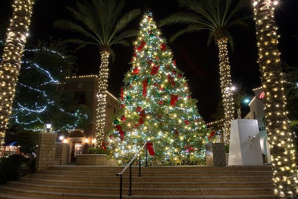 Jaynes Gallery 아티스트의 USA-Arizona-Buckeye-Christmas tree in the village square at night작품입니다.